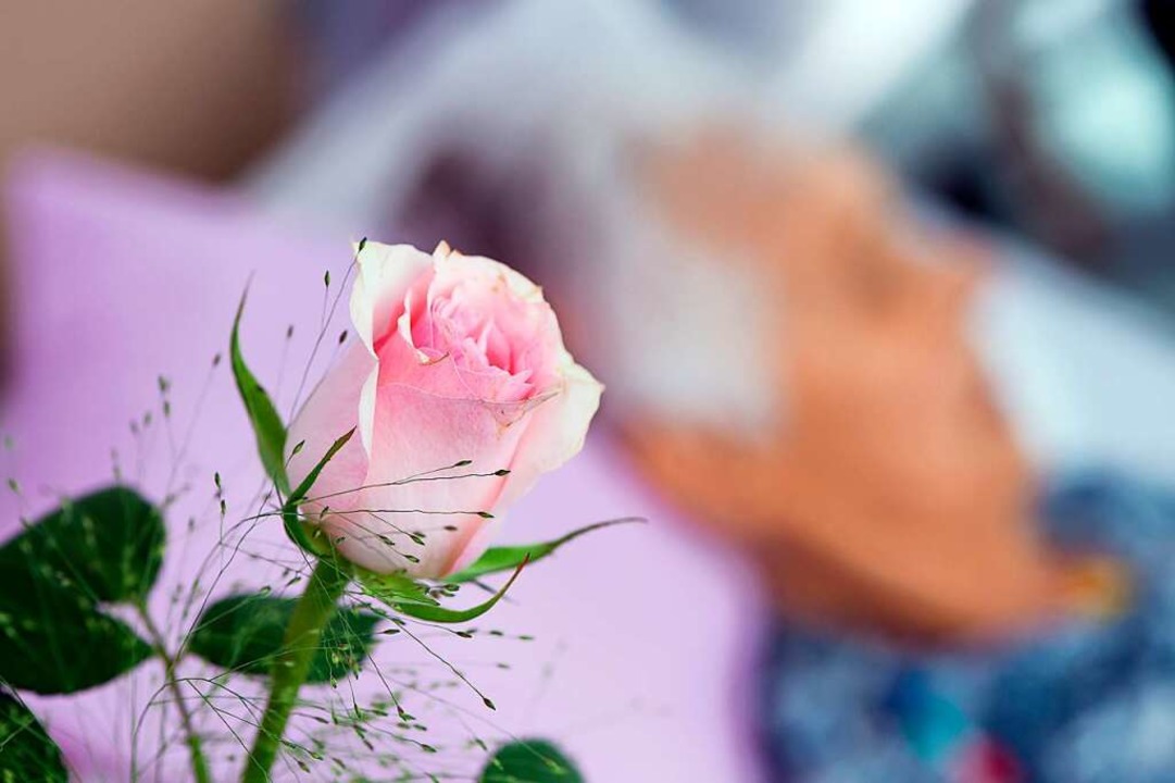 Eine Rose steht vor dem Bett einer alten Frau, die im Sterben liegt.  | Foto: Swen Pförtner