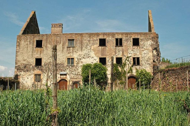 Die Burkheimer Ruine &#8211;  hier beg...schnste Abschnitt des Wiedehopfpfades  | Foto: Andreas Neymeyer