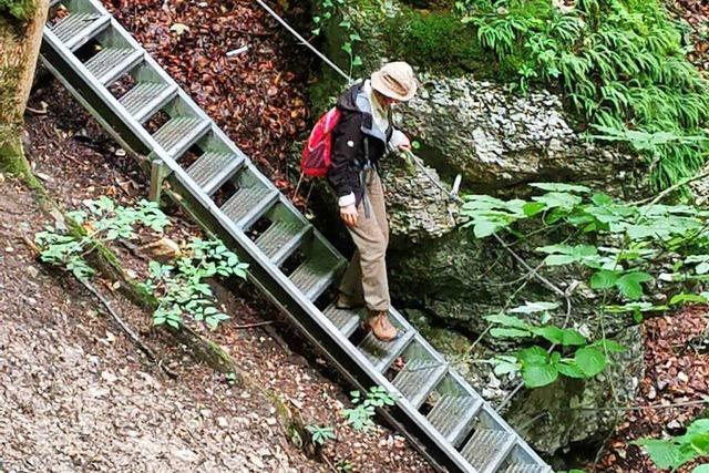 Der Abstieg in die Wolfsschlucht bei Bad Urach ist ein richtiges Wanderabenteuer