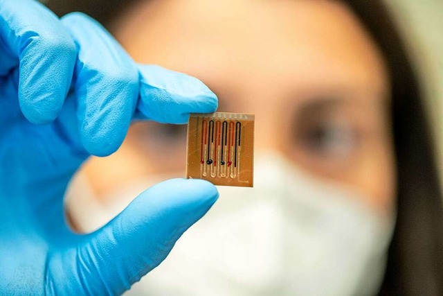 So sieht er aus, der Mikrofluidikchip,...otika-Konzentration im Atem zu messen.  | Foto: Uni Freiburg