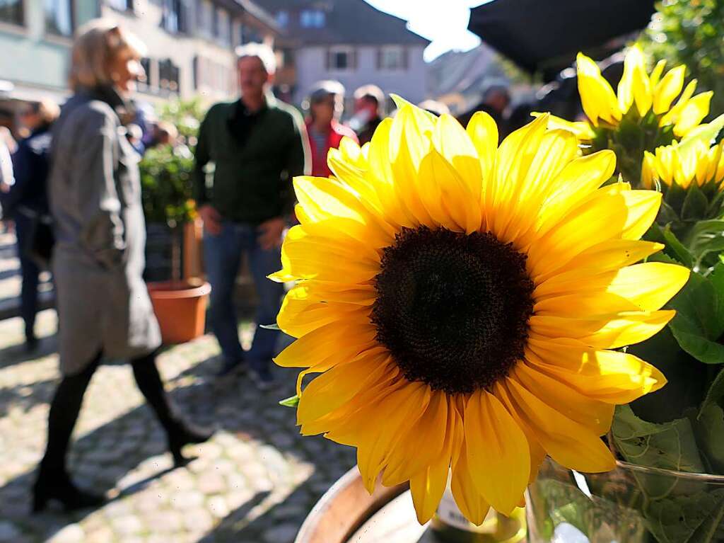 Perfektes Herbstwetter und attraktive Angebote der 100 Einzelhandelsgeschfte der historischen Altstadt und der Fabelwesen, die fr Unterhaltung sorgten, bescherten Staufen beim verkaufsoffenen Sonntag einen Riesenandrang.