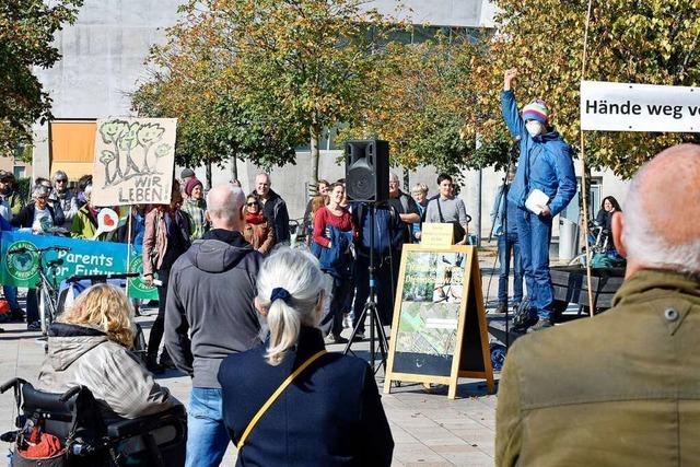 Demo gegen Baumfllungen: 