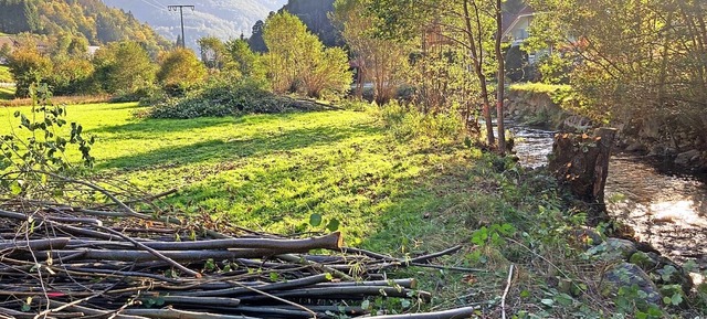   | Foto: Ortsverwaltung Schlechtnau