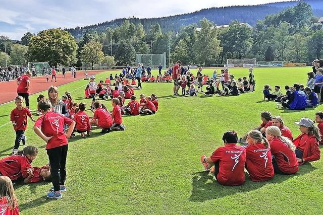 Fliegende Zitronen im Jahnstadion