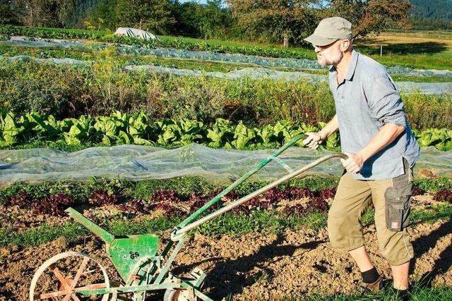 Wie geht es der Solidarischen Landwirtschaft in Schopfheim?