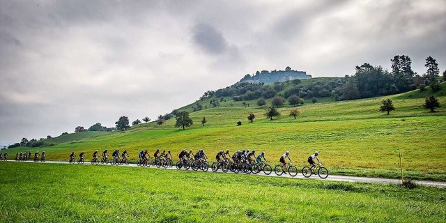 Das langgezogene Feld der Mountainbike...Hegau unter der Burgruine Hohentwiel.   | Foto: Ralf Schuble