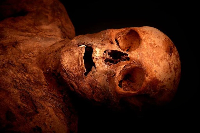 Die Mumie von Anna Catharina Bischoff  | Foto: Gregor Brndli