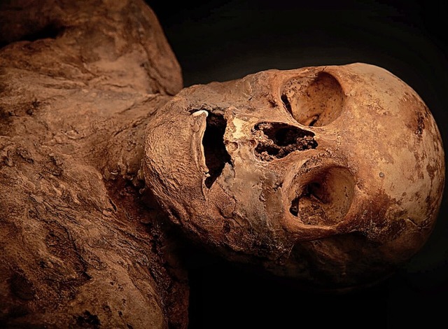 Die Mumie von Anna Catharina Bischoff  | Foto: Gregor Brndli