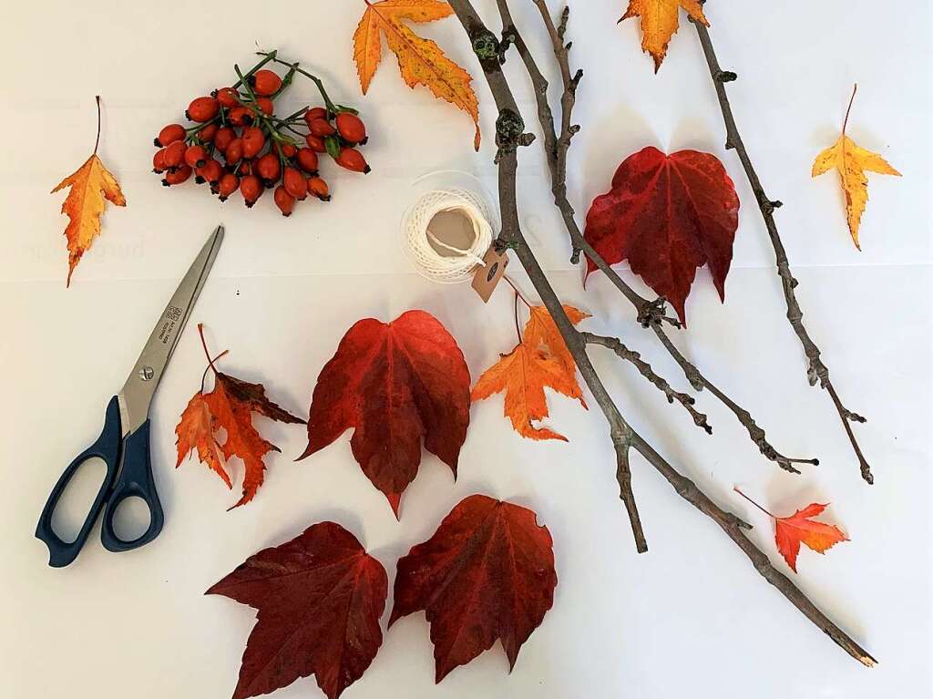 Ihr braucht: - eine Schere- eine Schnur- ste- herbstliche Gegenstnde aus der Natur  wie Bltter, Nsse, Hagebutten oder hnliches