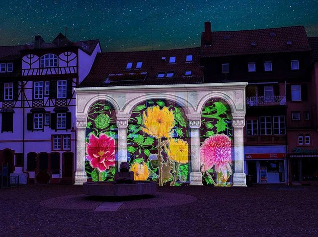 Florale Illumination auf dem Marktplatz  | Foto: Stadt Lahr