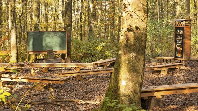 Ein Wildniscamp mit einem Waldklassenz...emeinderat jedoch nicht einverstanden.  | Foto: Marcel Conrad (adobe.stock)