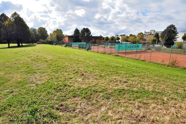 Gleich neben der Tennisanlage soll der...lage und den Allwettersportplatz sein.  | Foto: Markus Zimmermann