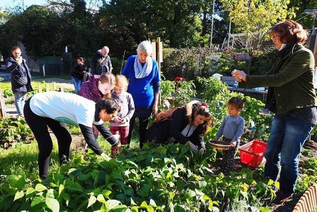 Das Urban Gardening in Friedlingen trägt erste Früchte