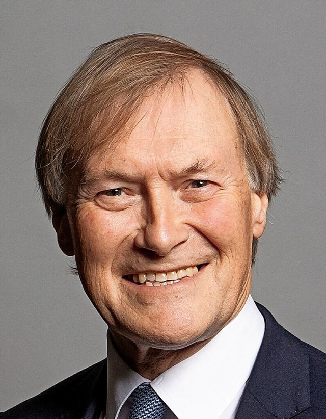 David Amess  | Foto: RICHARD TOWNSHEND (AFP)