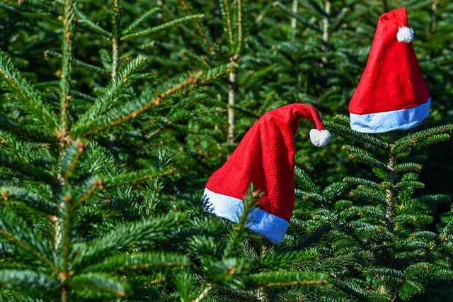 Weihnachtlich wird es in einigen Gemei...ineren Mrkte finden vielerorts statt.  | Foto: Patrick Pleul
