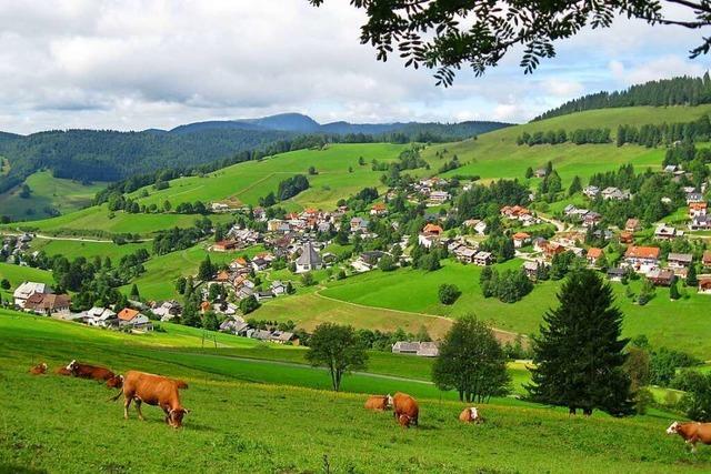 Schwarzwald-Idyll Todtnauberg