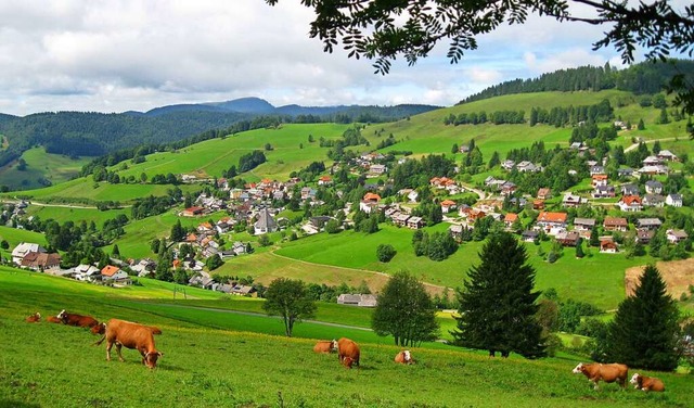 Todtnauberg  | Foto: Wilhelm Billharz