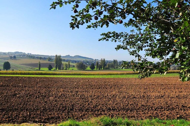 Das Bewirtschaften der Felder ist nebe... Themen der regionalen Landwirtschaft.  | Foto: Jutta Schtz