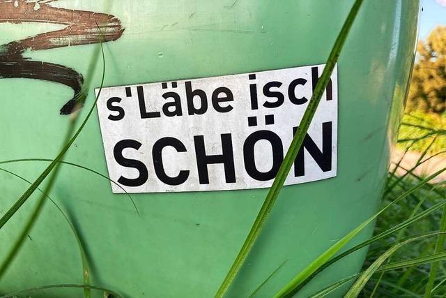 Kunst oder Vandalismus: Sticker im Rheinfelder Stadtgebiet