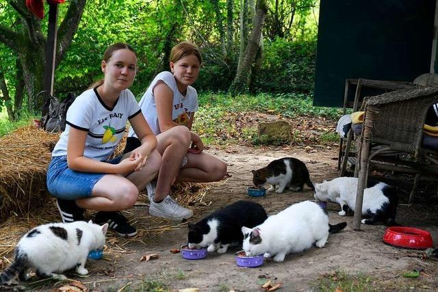 Deutscher Tierschutzpreis geht an zwei Mädchen aus Lahr