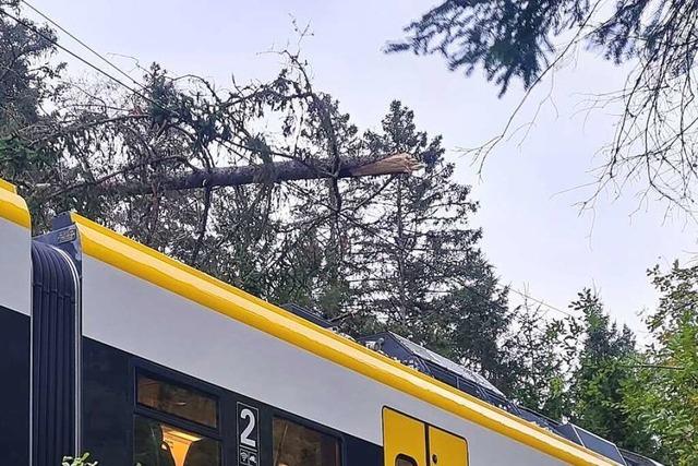 Hllentalbahn nach Sturmschden im Schwarzwald wieder in Betrieb