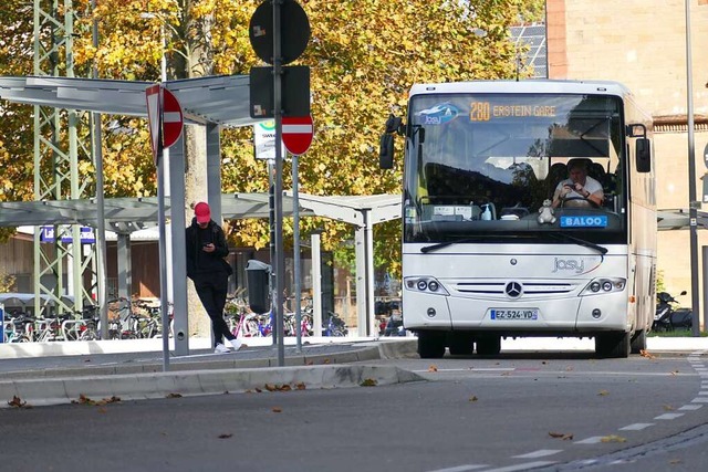 Sechsmal tglich pendelt der Bus der Linie 280 zwischen Erstein und Lahr.  | Foto: Hannes Selz