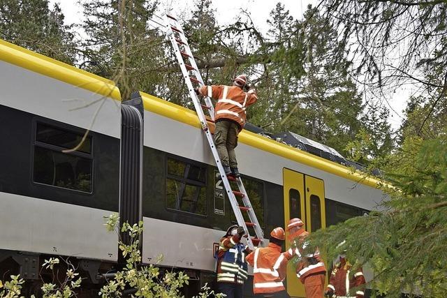 Umgestrzter Baum legt S-Bahn lahm