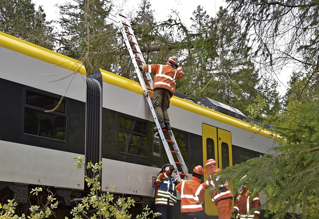 Fallen tree paralyzes the S-Bahn – Breisgau-Hochschwarzwald district