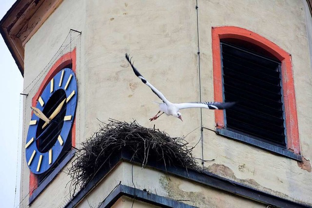 Das Storchennest am Kirchturm soll einen neuen Standort bekommen (Archivfoto).  | Foto: Thomas Kunz