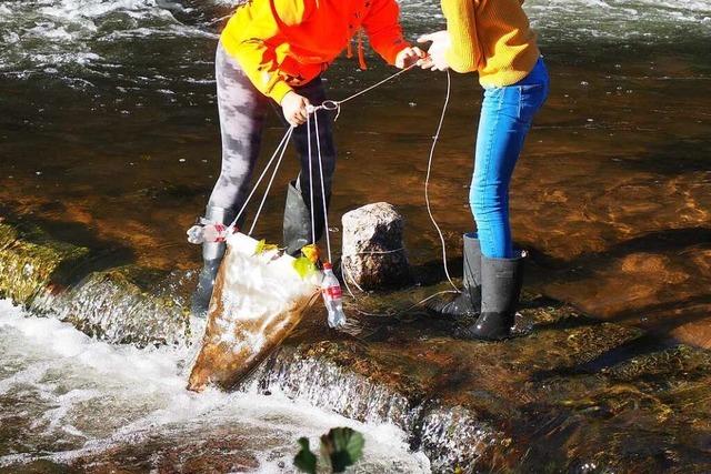 Schlerinnen aus Weil am Rhein erforschen die Mikroplastik im Fluss