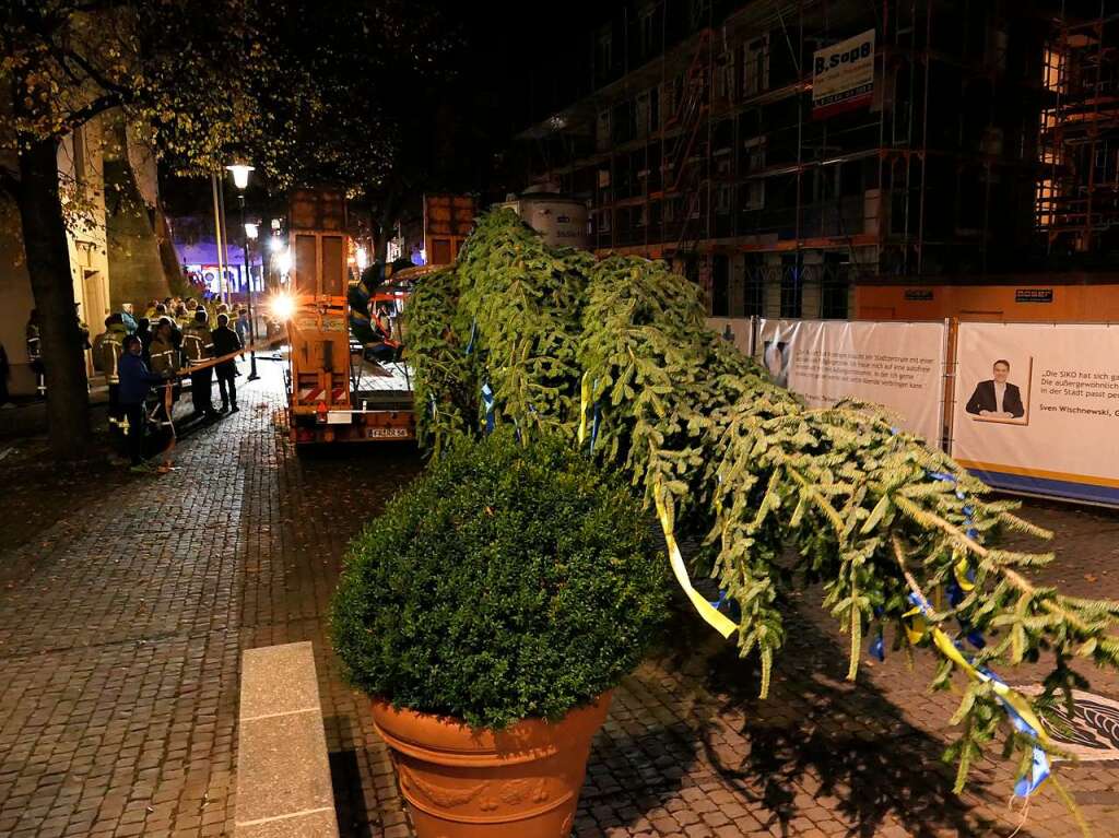 Am spteren Abend stellten Feuerwehr  und Forst in einer greren Aktion den Brgermeisterbaum auf dem Rathausplatz