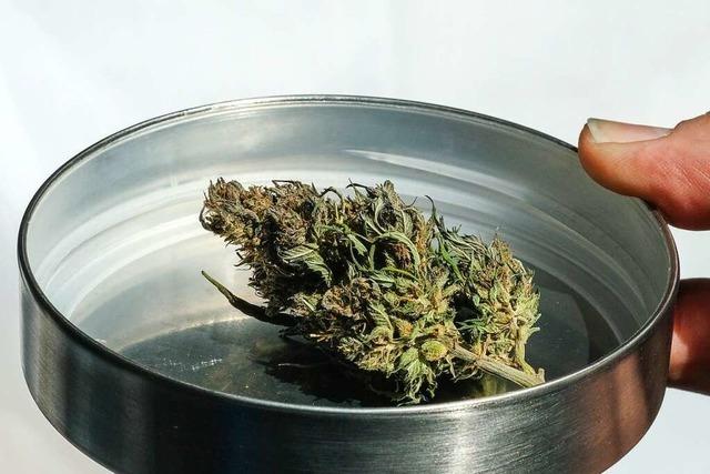 Ab Mitte 2022 verkaufen Basler Apotheken Cannabis als Medizin
