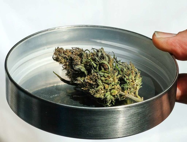 Die medizinische Abgabe von Cannabis s... Apotheken ab Mitte 2022 mglich sein.  | Foto: Jens Kalaene (dpa)