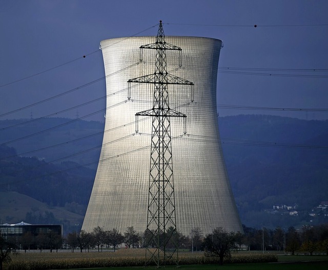 Die Jahresrevision des Kernkraftwerks Leibstadt dauert lnger als geplant.  | Foto: FABRICE COFFRINI