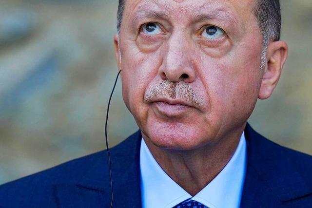 Erdogan weist Diplomaten doch nicht aus