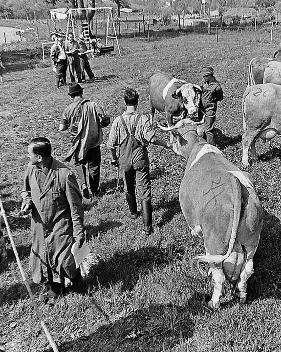 Landwirtschaftsschau 1966  | Foto: Armin E. Möller