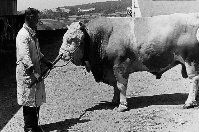 So lief die landwirtschaftliche Ausbildung in Emmendingen in den 60er-Jahren