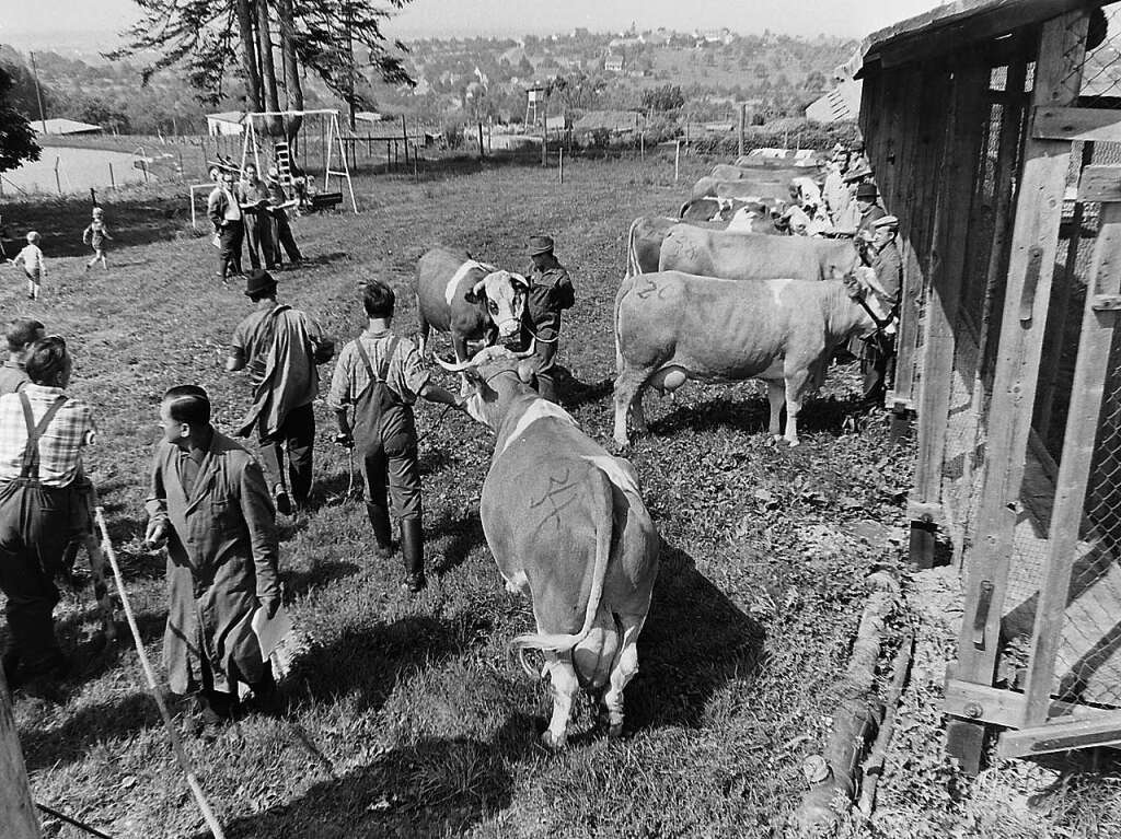 Landwirtschaftsschau 1966