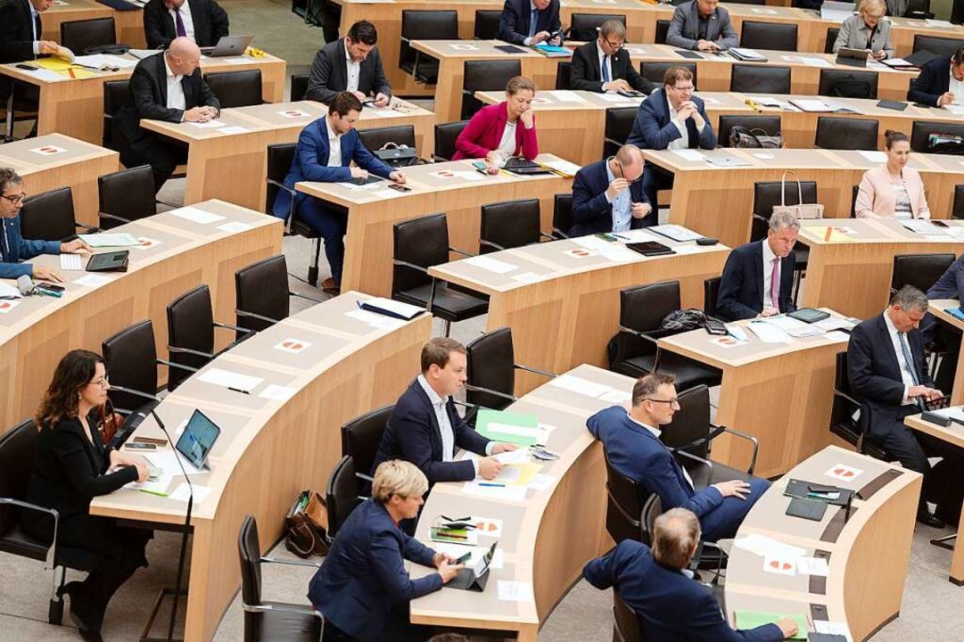 Jünger, vielfältiger und weiblicher so... SPD in das Parlament einbringen will.  | Foto: Marijan Murat (dpa)