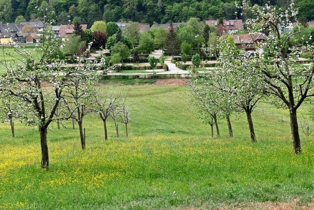 Der Campingplatz in Mnstertal darf erweitern