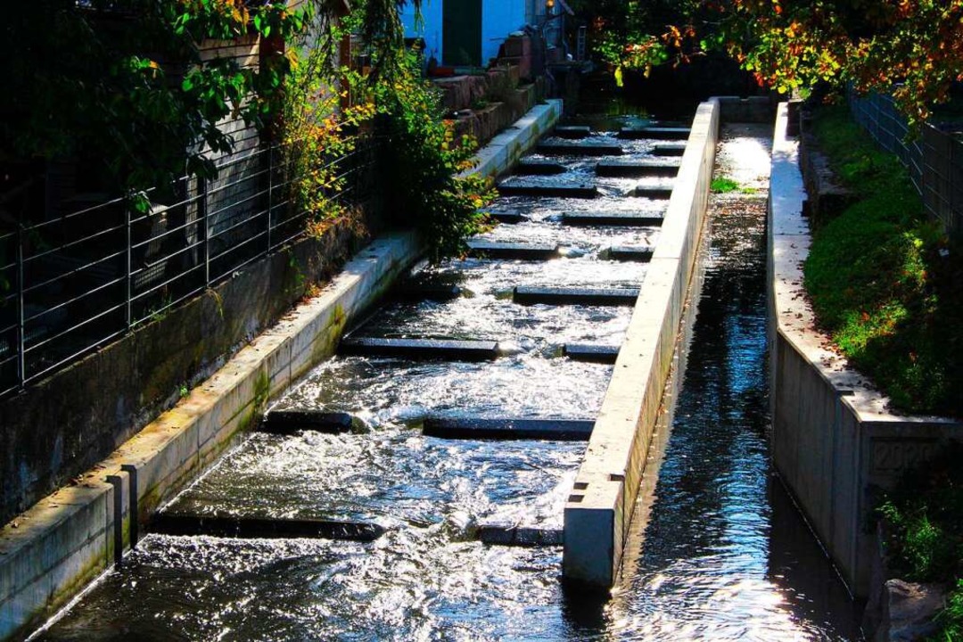Die neue Fischtreppe an der alten Mhle Hugsweier  | Foto: Reiner Beschorner