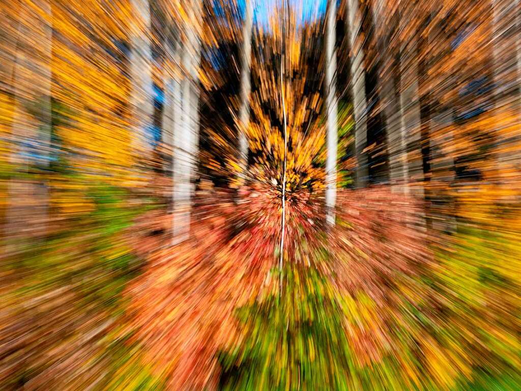 Den  Herbstwald hat BZ-Leser Emanuel Jauch aus Malterdingen mit einer  besonderen, zoom-burst genannten  Technik festgehalten. Der Effekt ist verblffend und bietet eine ganz ungewohnte Perspektive auf den Wald im  Goldenen Oktober.
