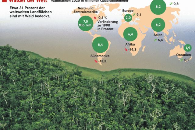 Aktionsplan für die Wälder