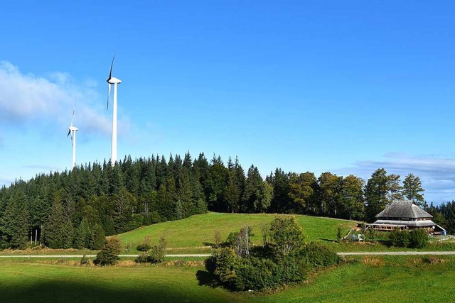 Die Windrder an der Holzschlgermatte bei Freiburg.  | Foto: Max Schuler