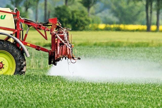 Was das Pestizidverbot fr Landwirte aus dem Taubergieen bedeutet