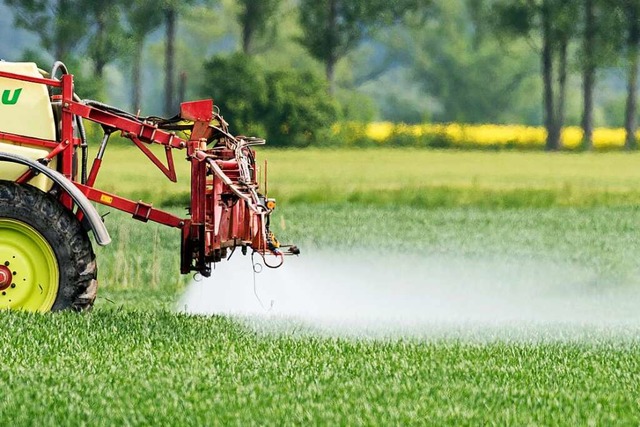 Landwirte mit Flchen in Naturschutzge...n bald keine Pestizide mehr einsetzen.  | Foto: Patrick Pleul