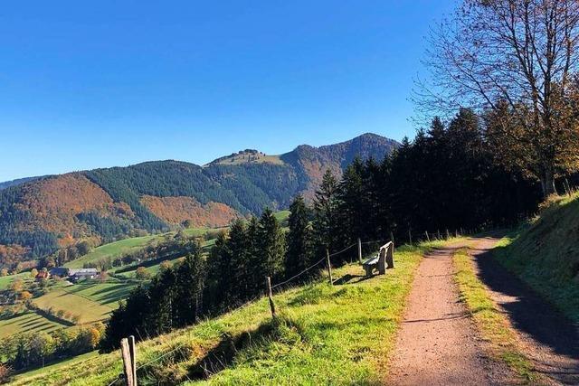 Deutscher Wanderverband zeichnet Felsenweg im Dreisamtal aus