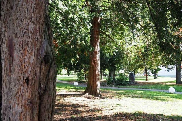 Gassigehen ist im Herbolzheimer Stadtgarten bald verboten