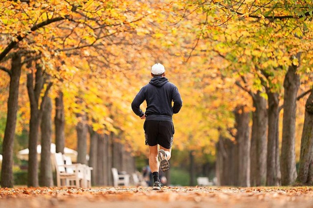 Bunte Bltter, frische Luft: fudder hat Tipps fr Laufstrecken im Herbst  | Foto: Sebastian Kahnert (dpa)