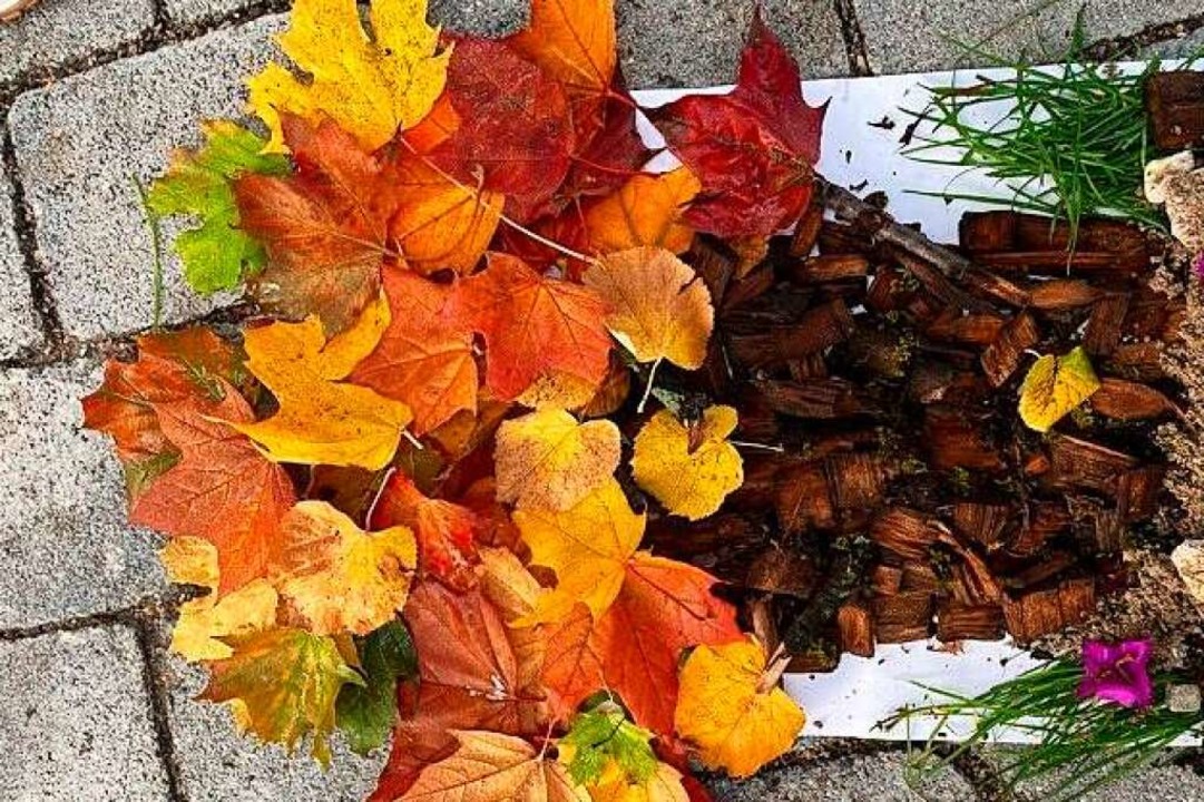 Ein Bild des Herbstes von Frieda Weber  | Foto: Privat